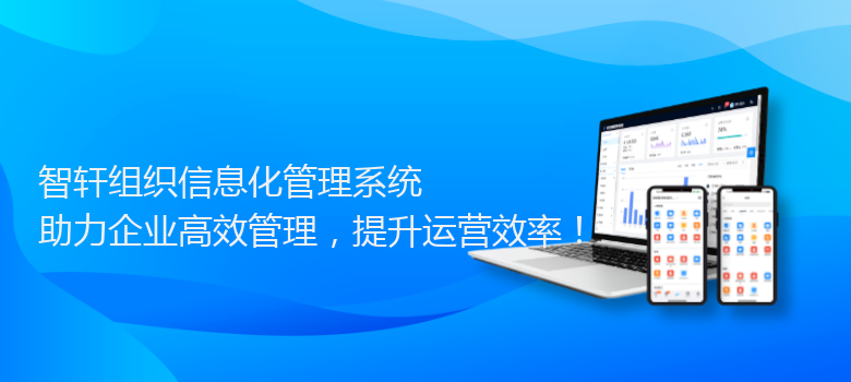 组织信息化管理系统